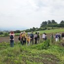 상모리-25 이미지