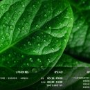 풀무원푸드머스톡톡