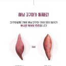 (주)더빵
