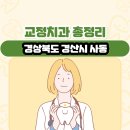 더 편한 치과의원 | 경상북도 경산시 사동 교정치과 총정리