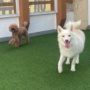 놀러오개 서대문점 이미지