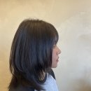 빌레트헤어