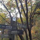 진관-043 이미지