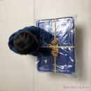 브레인스쿨에서 교구로 사용하는 럭스블럭 구입후기_맥포머스&amp;레고블럭과 함께 놀아요