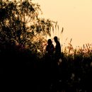 사랑의 노래 이미지