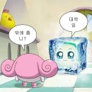주간일상_1월 둘째주