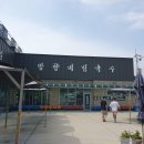 연천-5 | 영화 강철비에 나온 맛집, 망향비빔국수 연천 본점 내돈내산 후기