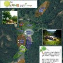 예산느티나무캠핑장 이미지