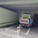 티파니 무인호텔 이미지