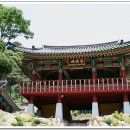 도성암 - 1825 | 도성암