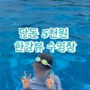 뚝섬우동김밥 | [공지] 뚝섬한강수영장 오픈런 준비물 꿀팁 입장료 외부음식 운영시간 야간개장