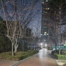 스피드메이트 장안점 | 테슬라 (모델Y RWD) 광명 딜리버리센터에서 인도 받기 / 리퍼럴코드 있음 / 리퍼럴 크레딧 캐시백 해...