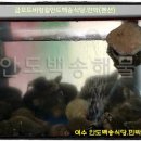 128민박 이미지