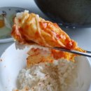 전라도김치 | 대상 종가 전라도 포기김치 2.8kg 내돈내산 후기