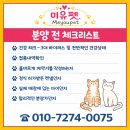 가정1-03-053 | 창녕랙돌분양, 제대로 고르는 기준 7가지