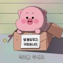 몸치댄스 연습실 이미지
