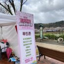 지산낚시 | 지산샛강 벚꽃 축제후기🌸
