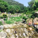 노루목상회 이미지