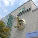 (강좌번호:18) 신나는드럼교실 | 겨울방학 놀러 가기 좋은 곳, 서대문 자연사 박물관