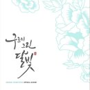 스키비