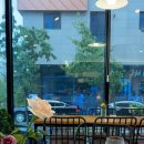 이서컴퍼니 이미지