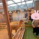 [다녀온후기] 금천구 쥬라리움 동물원/키즈카페 소풍 다녀온 후기! | 지역사회, 대중교통 훈련하기