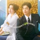 신예도장 | 드라마 감자 연구소 출연진 소개 및 촬영지 알아보기