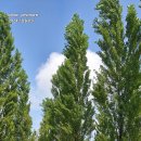 호수공원1길 이미지