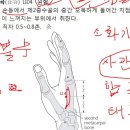 11 수양명대장경 조회수 1.7만회 7년 전 이미지