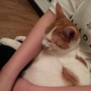 두산봉하우스 이미지