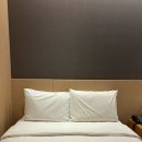 할리우드펫 | 강릉 세인트존스 • 슈페리어 할리우드 객실 • 주말 이용 후기