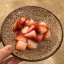 단양 어린이집 | 단양애견동반 카페 야미담 디저트 맛집, 단양카페 추천 후기