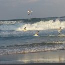 뚱이네식당 이미지