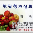 과일총판 Daum카페