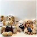 마마스미독 강아지분양 부산덕천점 | 마마스미독 대연점 깜짝 놀랐어요 부산강아지분양
