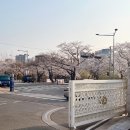 외계인키친