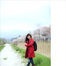 4월13일(수) 경포호 벚꽃트레킹 2 이미지