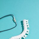 세솟는정형외과병원 이미지