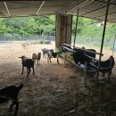 광개토농장 이미지