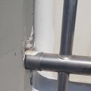 월배쌍용예가 이미지