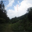 자은3리 마을회관 이미지