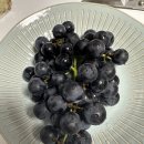 순흥농원 이미지