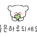 하이댕댕 이미지