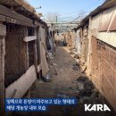 광명농장3 이미지