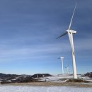 삼양밧데리 | 2025 강릉 | 이모네생선찜 | 대관령 양떼목장 삼양목장 | 정화식당