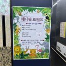 애니멀 프렌즈 | [의정부] 의정부 아기랑 갈만한 곳 실내동물원 &#39;애니멀 프렌즈&#39; 15개월 아기 이용후기