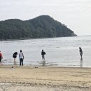 다대포해수욕장 이미지