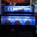 죽림축산 이미지