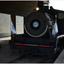 곡성세계장미축제장 이미지