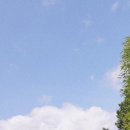 빌라드로이 이미지